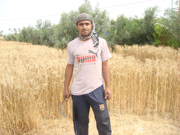 تبلغ نسبة البطالة في قطاع غزة أكثر من 30%