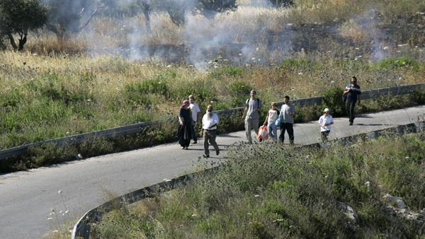 صورة أرشيفية