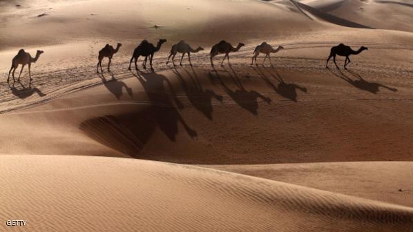 "غوغل" تغزو الصحراء على ظهر جمل