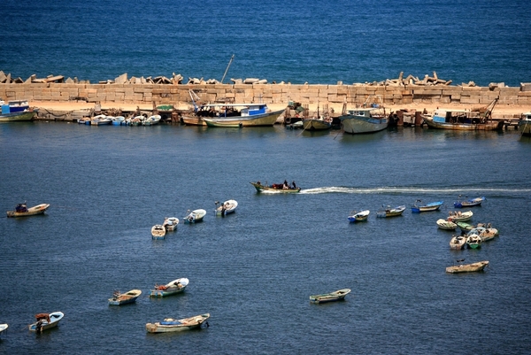 الطقس: الجو صاف وانخفاض على درجات الحرارة