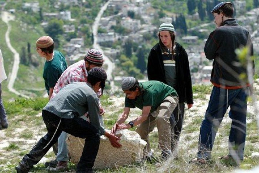 مستوطنون يعتدون على رعاة أغنام ويسرقون مواشيهم غرب نابلس