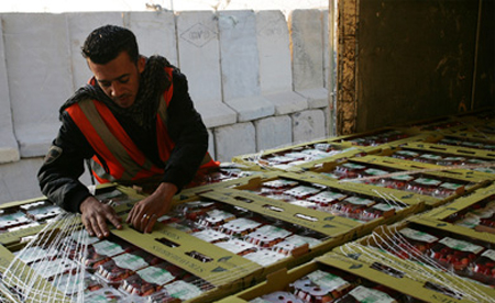 منتجات غزة ستبحر للعالم نهاية العام