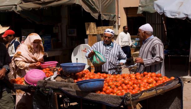 تراجع الأسعار في المغرب