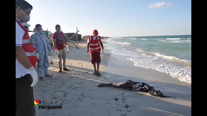 العثور على جثث لمهاجرين لفلسطينيين وسوريين